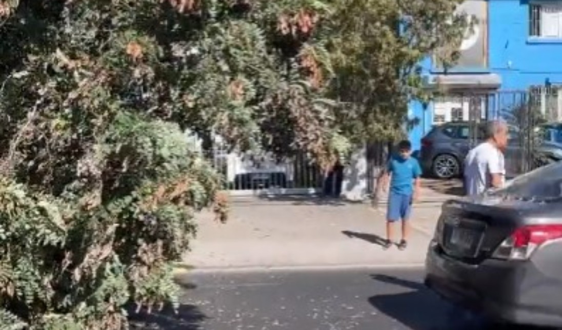 VIDEO Árbol casi aplasta a consejero regional de Antofagasta En